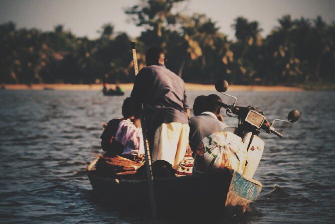 MartinioD's tweet photo. Togo, je bent prachtig. https://t.co/eJYryrCujt