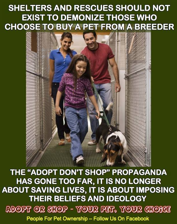 wartracebates's tweet photo. Shelters & Rescues should not exist to demonize those who choose to buy a pet from a breeder.
#AdoptORShop #YourPetYourChoice #HsusLies https://t.co/jUy4Pzhkin