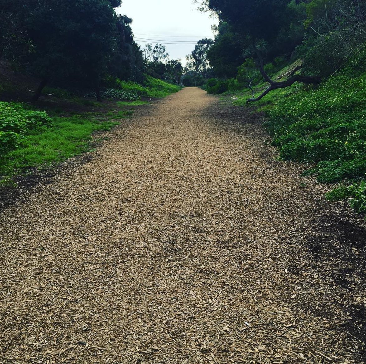 MySouthBay's tweet photo. #chiptrail #southbay
https://t.co/Pt1gwgzxpq https://t.co/St0lIANN1y