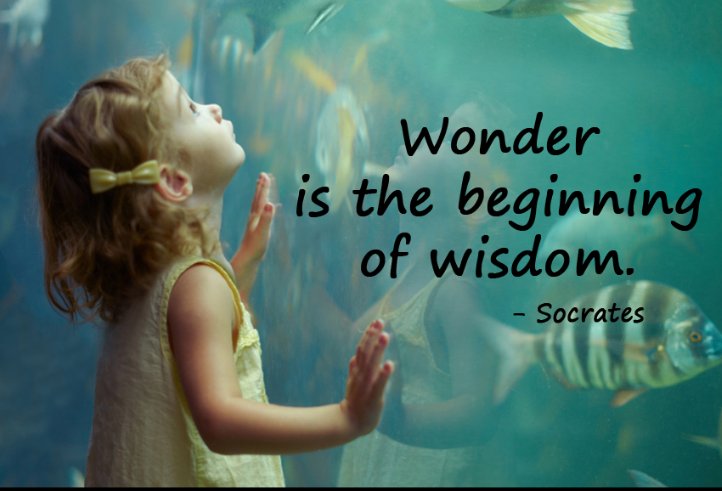 Robert Cullen tweet media