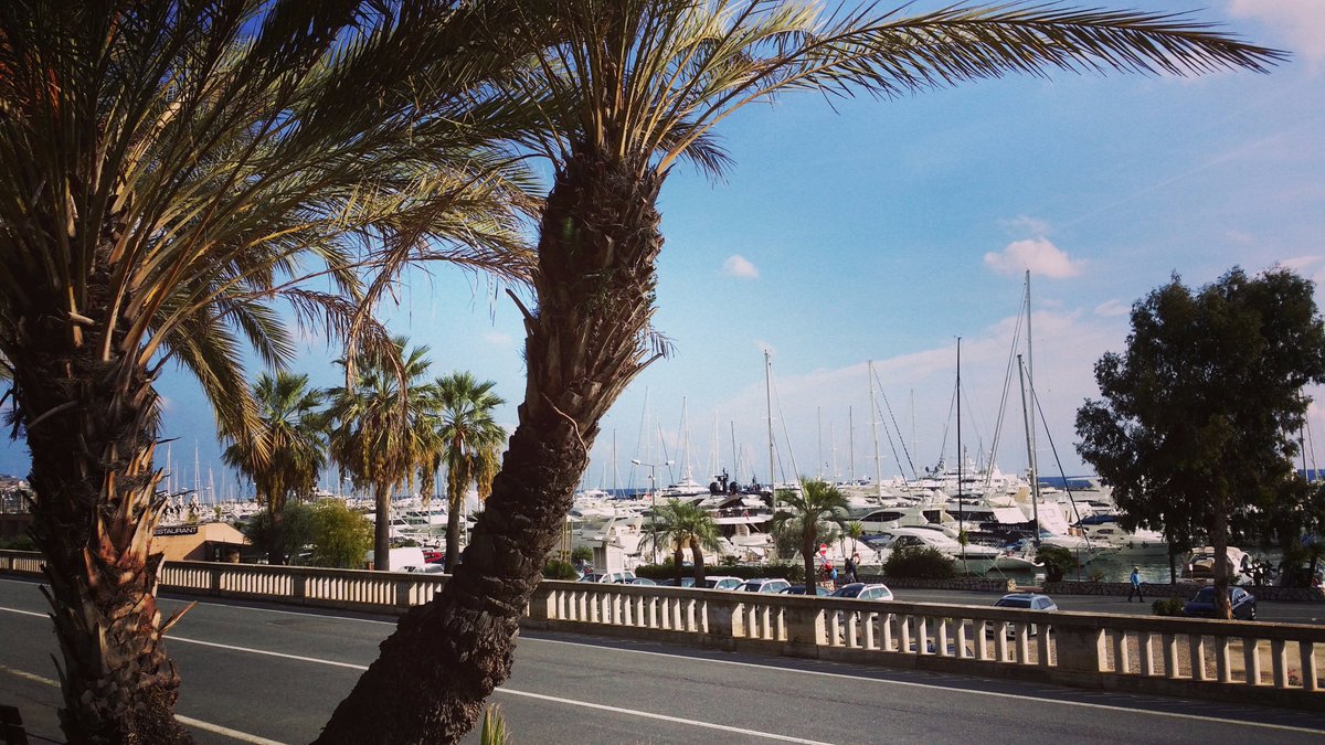 PodereGrecale's tweet photo. A #sanremo non solo #festival 
Consigli su cosa fare e vedere nella nostra città! https://t.co/XPewgcYuff  #lamialiguria  #nonsolofestival https://t.co/YpPo5GWY7r