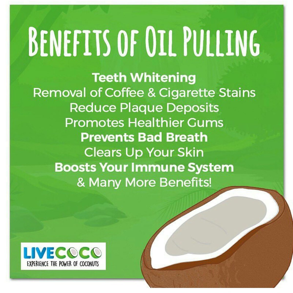 LiveCocoUK's tweet photo. Oil pulling offers a truly impressive array of health benefits! #coconutoil #teethwhitening #oilpulling #glutenfree #veganfriendly #livecoco https://t.co/2gvy0xcidm