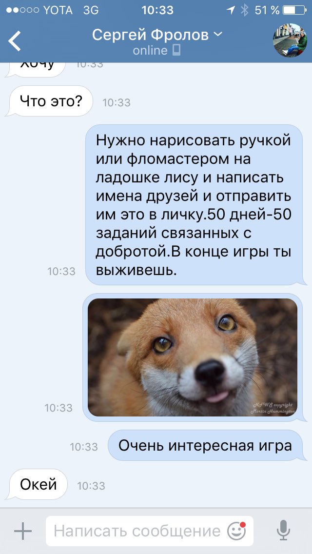 Первый #рыжийлис #тихий дом
