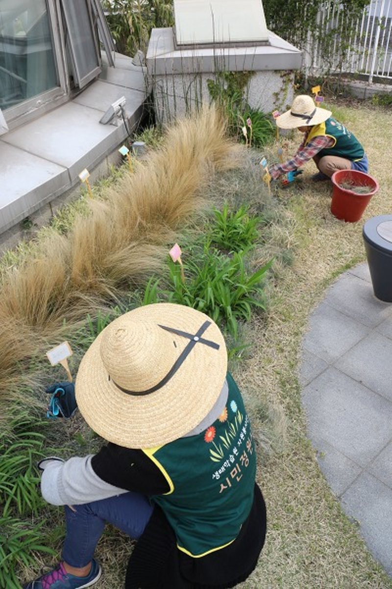 #성남시 는 오는 2월 20일까지 시민 정원사 양성교육 참여 희망자 20명을 모집!

3월 2일부터 내년도 11월 30일까지 성남시 환경교육기관인 판교생태학습원에서 식물 키우는 법을 무료로 배우면서 학습원의 정원을 가꾸는 활동을 하게 된다고해요.^^