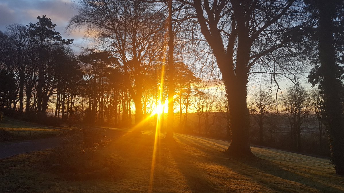 ianelske's tweet photo. Sun through the trees. Beautiful morning start @CoedyMwstwr today. #morning https://t.co/BQLI87Wgmq