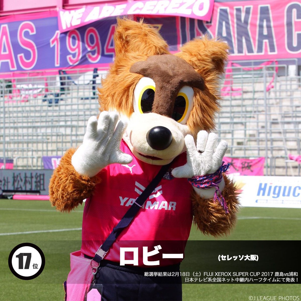 ｊリーグ V Twitter ｊマスコット総選挙 中間発表 16位 アルディ 17位 ロビー 18位 ライオー 19位 パルちゃん T Co Quphi1jefl