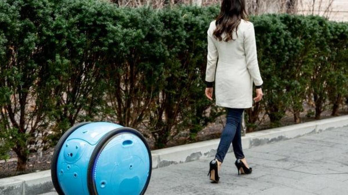 WELT_Economy's tweet photo. Ein Vespa-Roboter, der Einkäufe nach Hause bringt https://t.co/cPTFExhkEI https://t.co/ImVO0QsGOD