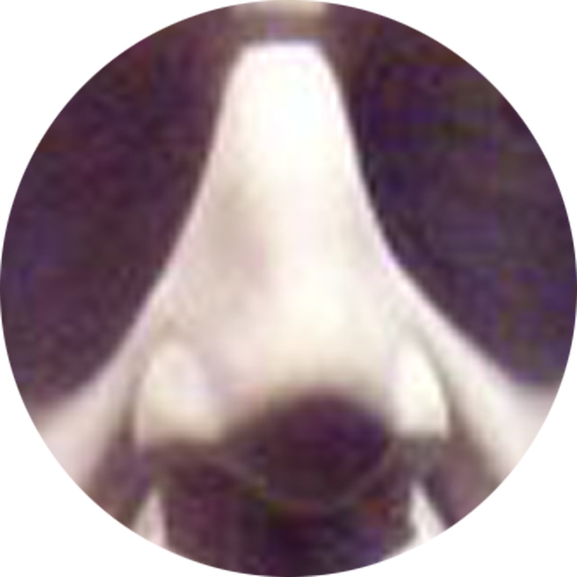 PonkClub's tweet photo. PONK 7's nose up close and personal before revealing who's conk it is.... don't look next if you're still guessing. https://t.co/sWilFL2Hf3