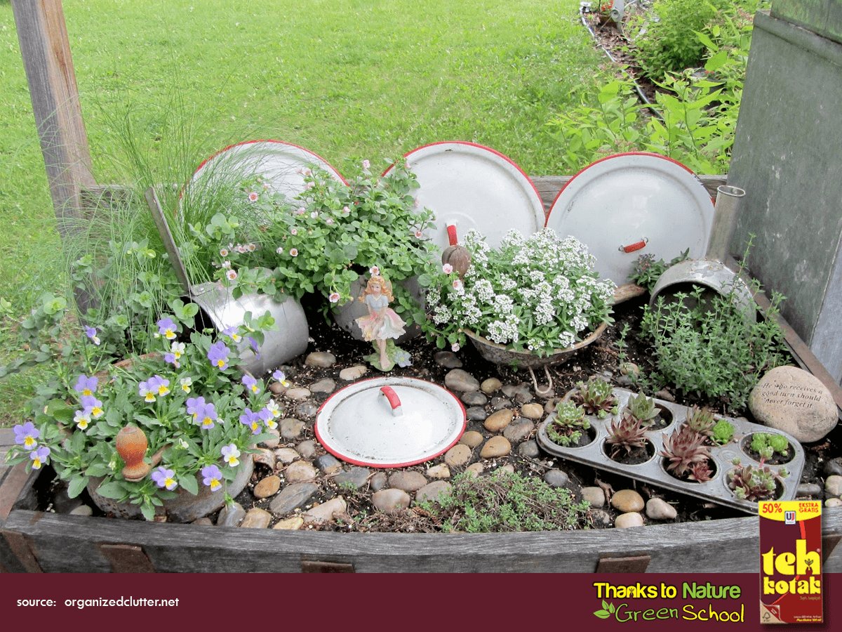 TTNGreenSchool's tweet photo. Sahabat Alam, kl kamu menemukan panci bekas yang sudah tidak terpakai di dapur. Jgn dibuang ya! Pergunakan kembali sbg pot tanaman saja. https://t.co/UwLEoOzdm9