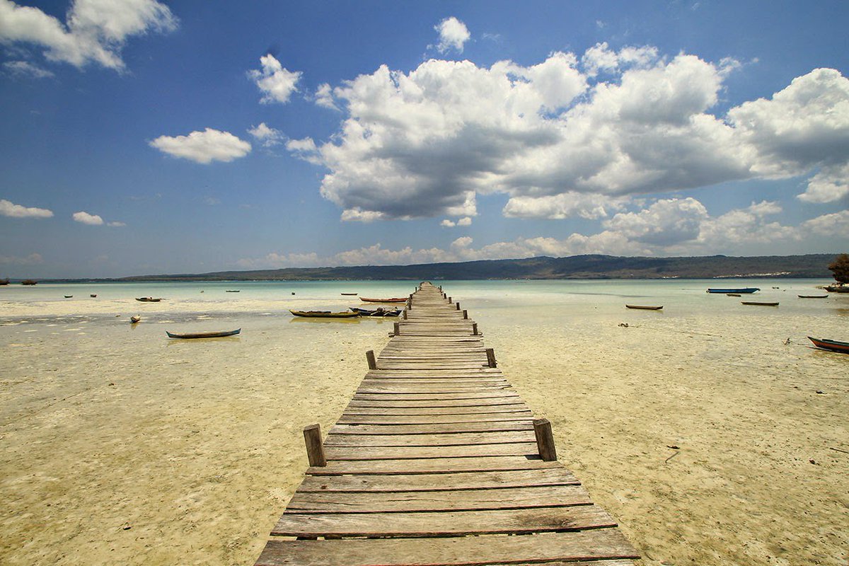 formabutra tweet picture