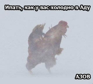 Источники полиции подтверждают ликвидацию Гиви в оккупированном Донецке, - Аброськин - Цензор.НЕТ 9108