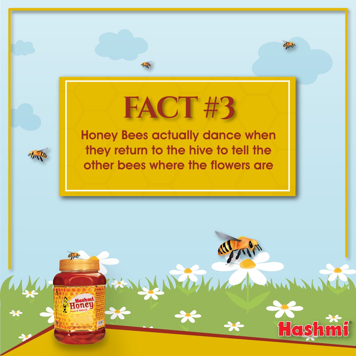 HashmiPakistan's tweet photo. #HashmiHoney #HashmiPakistan https://t.co/HJoCfKXS3u