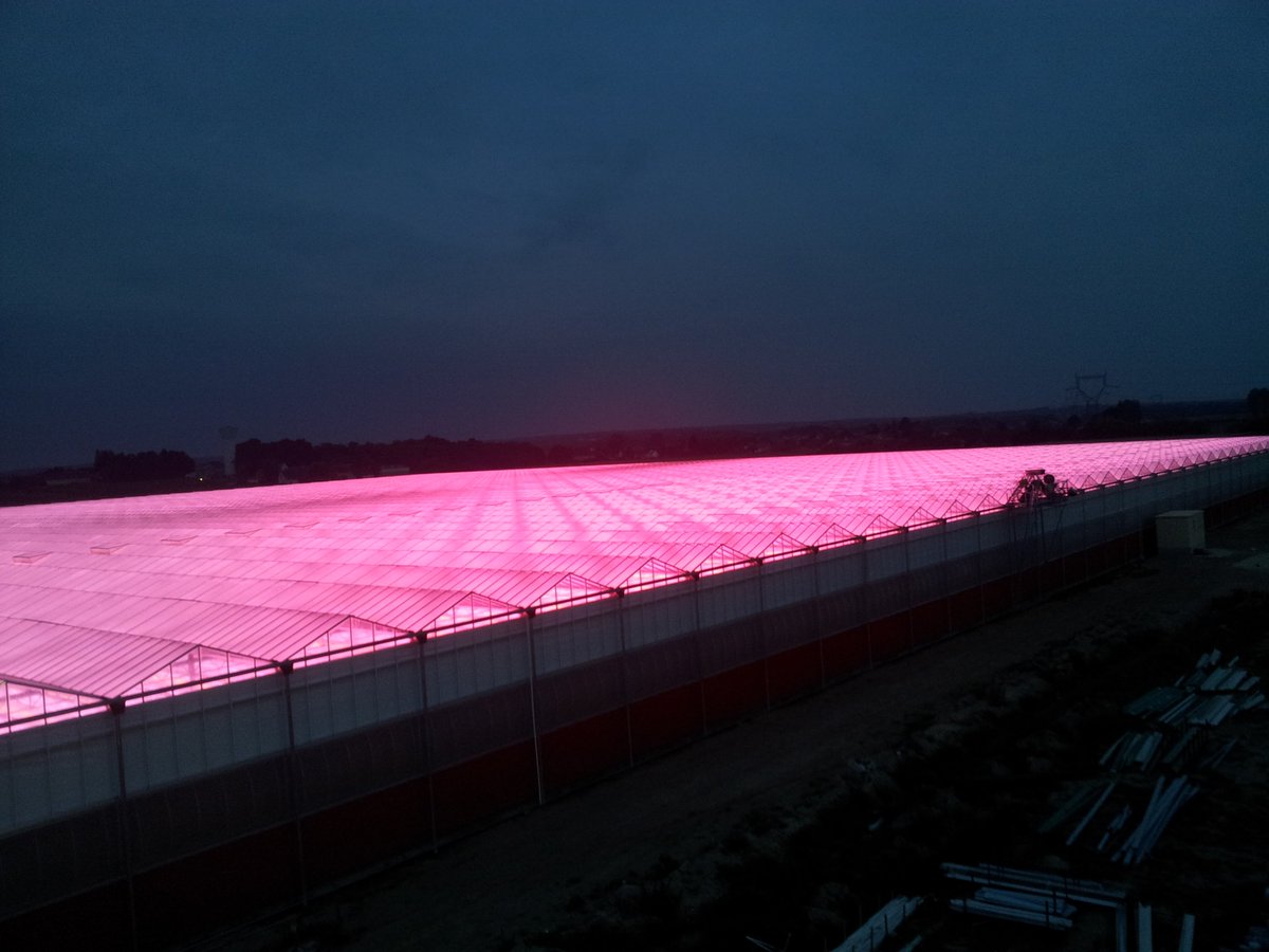 PhilipsHorti's tweet image. What a beautiful picture from Le Jardin de Rabelais in France #purple #LEDs #Philips #horti lighting.philips.com/main/cases/cas…