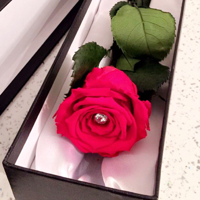 roseeverlast's tweet photo. 🌹 Large stemmed rose boxes ready for #Valentine's Day delivery this week! Just £24.99 including a FREE bag of rose petals! 🌹 #rossendale https://t.co/AiZ9kmeLuZ