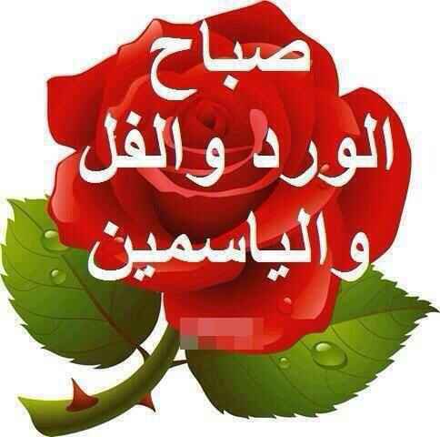 ❣اللهم أرزقنا سعادة يعجز عنها الشكر .
.  ❣   صباحكم فرح من عند الله 🌹
صباحكم سعاده تلامس  قلوبكم الطيبه 💕