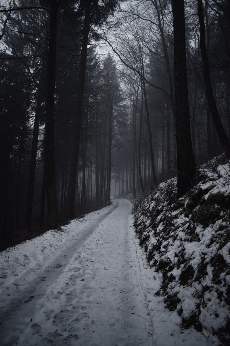 Glennstevenss's tweet image. Photo from trip which I had while recording MIST #winter #trip #mist #fog #photography #Nikon #Poland @NikonPolska