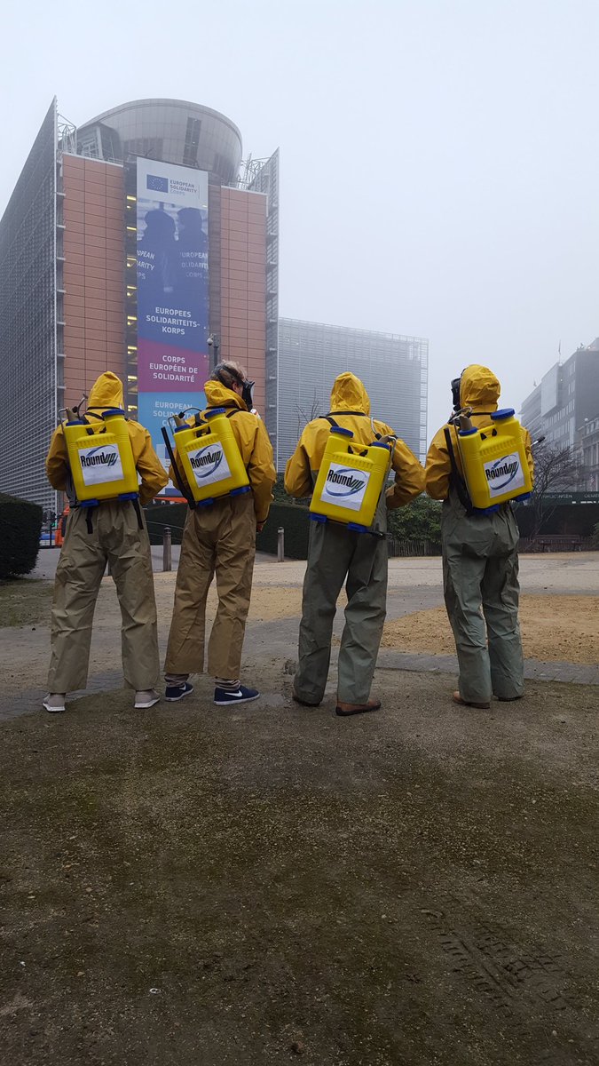 Lucy_Mathieson's tweet photo. Environmental &amp; health orgs launch ECI today in Brussels to #stopglyphosate https://t.co/WnFbCCpRud https://t.co/ePkr4VnQSQ