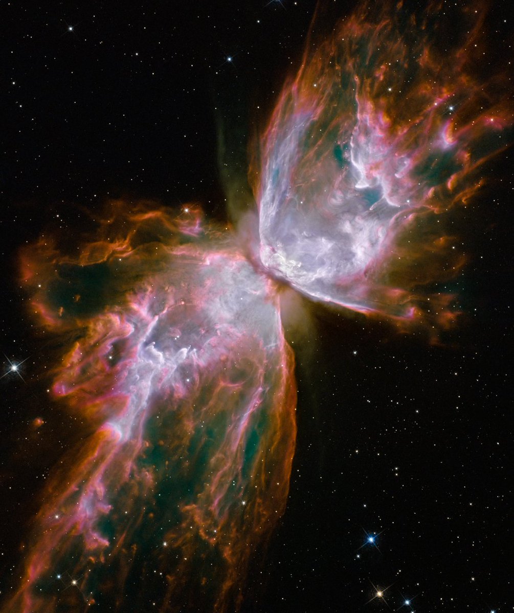 Space_Scene's tweet image. NGC 6302, also called the Butterfly Nebula, is a bipolar planetary #nebula in the constellation Scorpius.#Space #astronomy