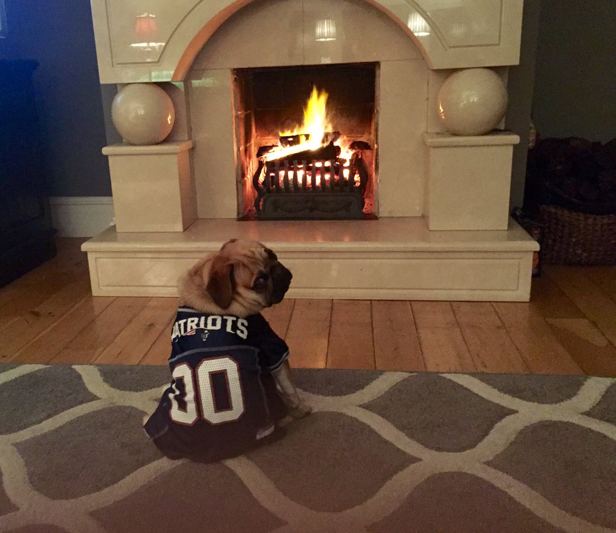easkeyscarecrow's tweet photo. @7News #patson7 Congrats Pats! All the way from Easkey Co. Sligo Ireland! https://t.co/PaJYtd6Vqr