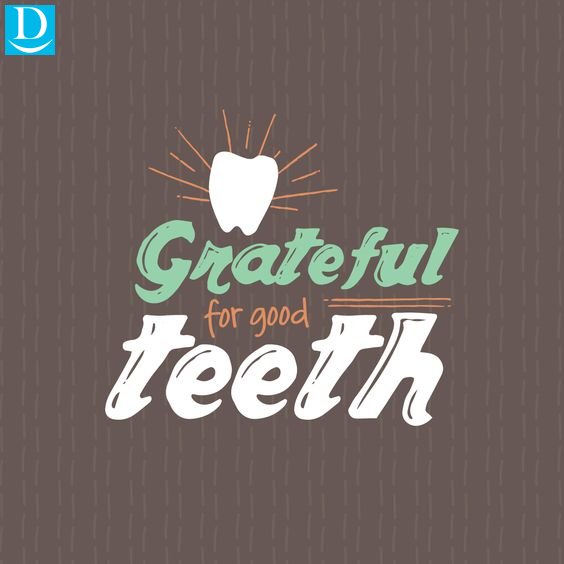 Got 🐷 WUPPLES ? visit 👉 wupples.com tweet media