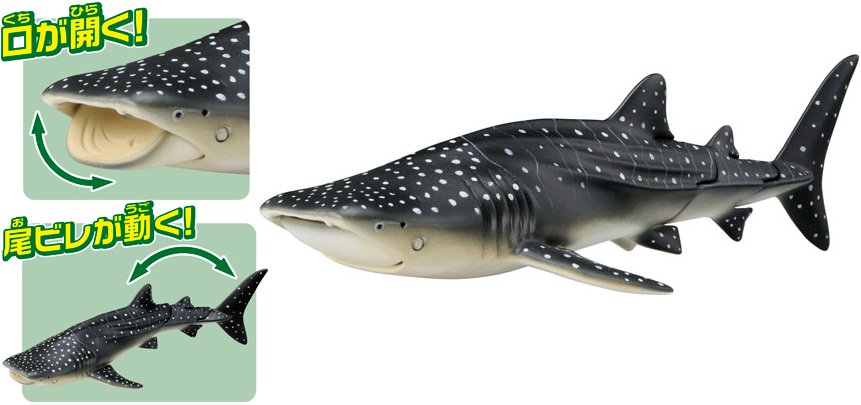 タカラトミー　ワンタメ タカラトミー ワンタメ