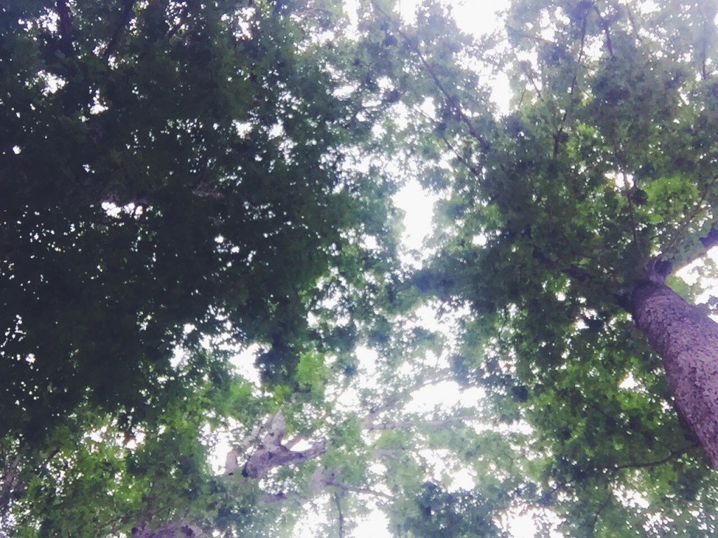MatchboxLive's tweet photo. Is God Really Good All The Time? https://t.co/8lsJUgES45 https://t.co/x5tFlxofPe