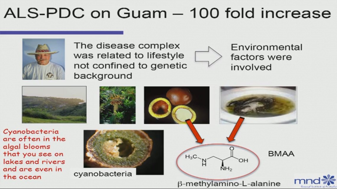 MND_RIA's tweet photo. Assoc Prof Ken Rodgers – "Environmental factors and #MND"
presentation from #MNDConnect @qbi @utsengage
https://t.co/Mz61ZzQFMo https://t.co/rRZTIauyre