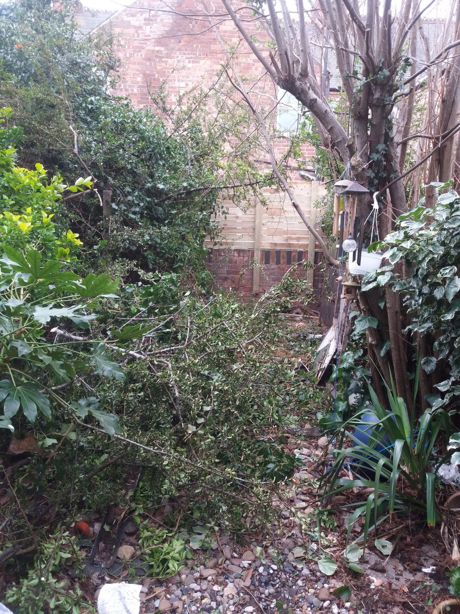 Marcus Rowlands tweet media