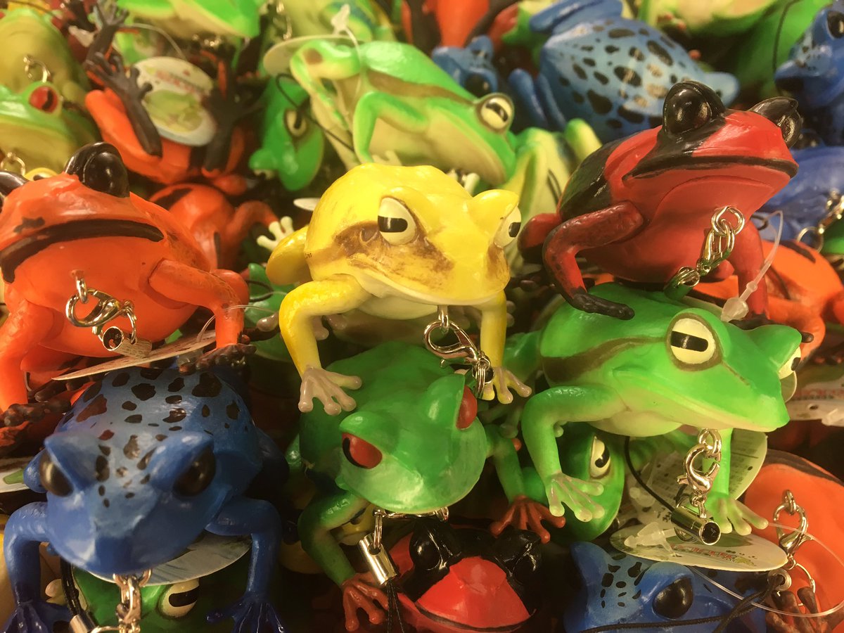 差別化する 同志 ボトル カエル ストラップ Estivaletart Com