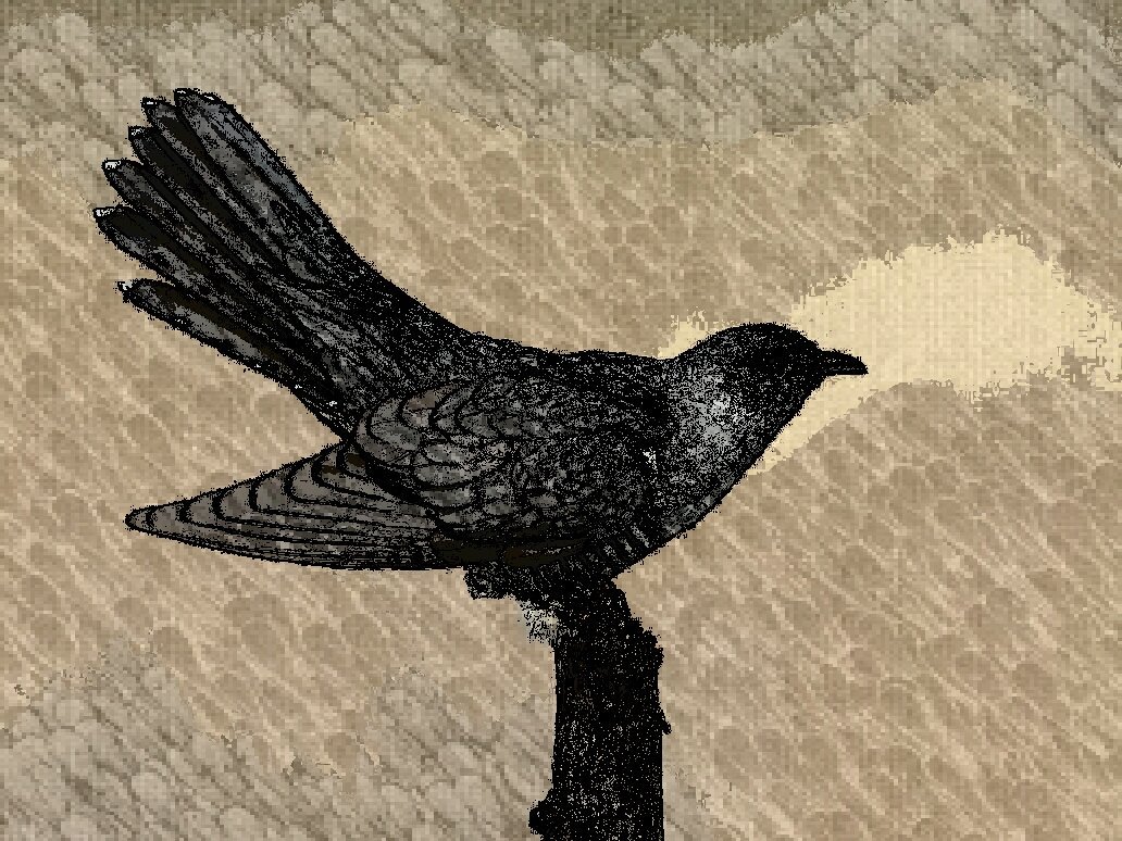camself1's tweet photo. Cuckoo

You are the villain
Of the piece - laying your egg
In other bird's nests.

#cuckoo #haiku #birdsofbritain https://t.co/PXvjxblwmm