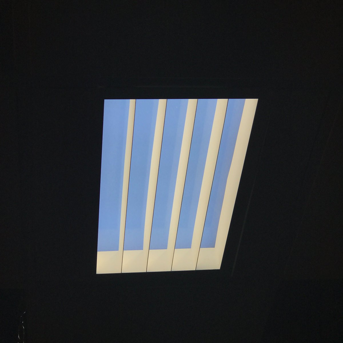 Lightology tweet media