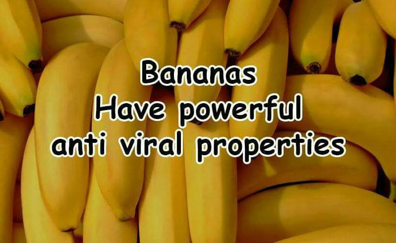 HealthyChefWell's tweet photo. #didyouknow #vegan4life #healthyvegan #healthbenefits #bananas #bananasrule #antiviral #goodfood #yellow @TheVeganBanana Banana https://t.co/vfEiBCLh0f