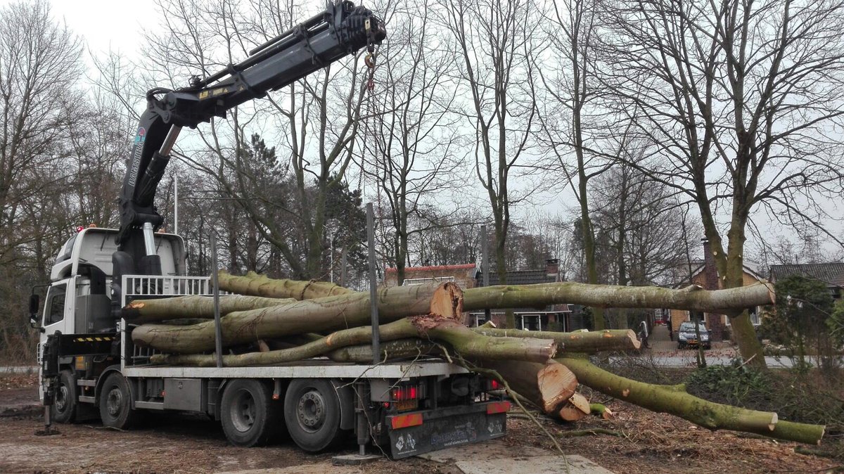 dampootje's tweet photo. Van aardappelkisten tot diverse grote boomstammen, wij kunne het voor u vervoeren @DamstraDriezum #mooiputsje https://t.co/BlKHX0J8qh