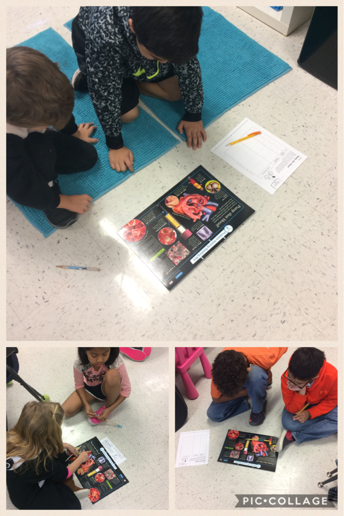 StephanieAhear2's tweet photo. Go Red! Heart Facts in math! Checking for reasonableness using heart rate.
@Mornin https://t.co/t1ZBifJJjL https://t.co/bHsMSH5WBp
