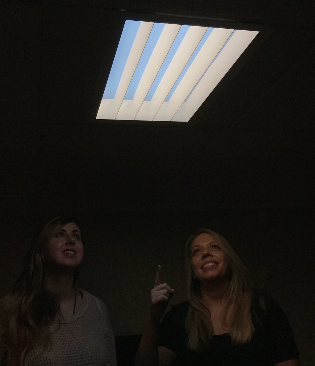 Lightology tweet media