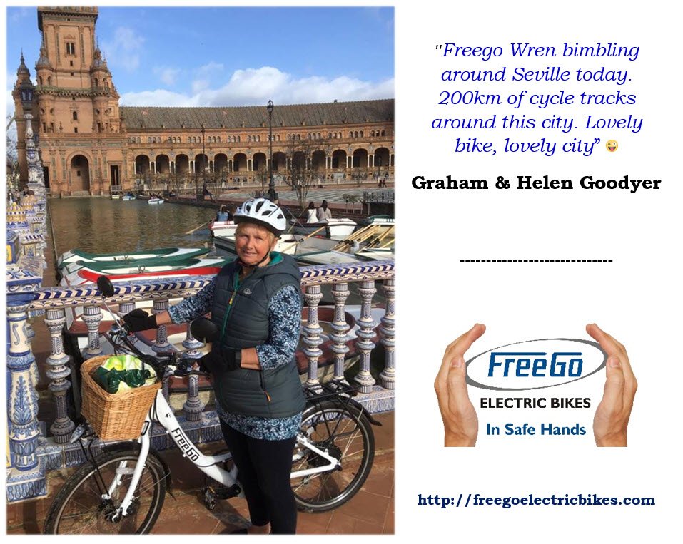 FreeGoElectricBikes tweet media