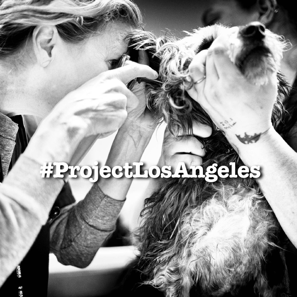 momenta's tweet photo. #ProjectLosAngeles: We are almost ready to begin! Just a few hours until the start of this year's workshop! #SeizeTheMomenta https://t.co/MypvjYVknY