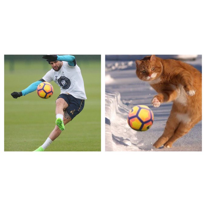 View image on Twitter