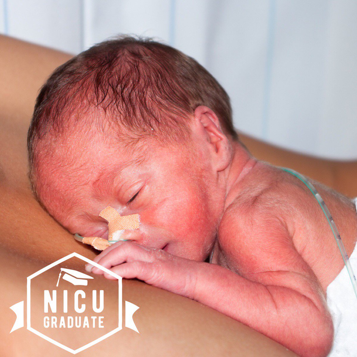 babypicsapp's tweet photo. Nothing beats #NICU graduation day 💪🏼👩‍🎓Such a precious milestone featuring our new '#PreemieProud' artwork. #BabyPicsApp #preemie #nicugrad https://t.co/Ucsrt5azqZ