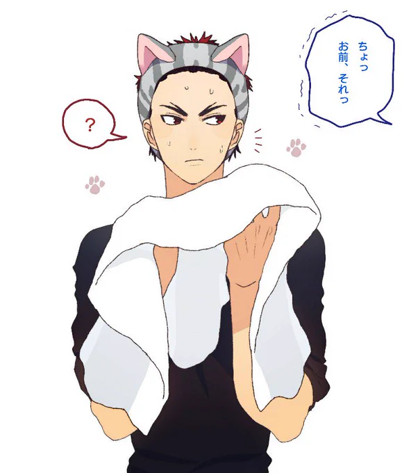 猫ターバンというものを知ったので描いた 