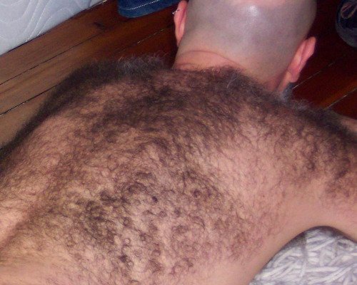 Hairy guy webcams: bit.ly/2cLQ2Qn