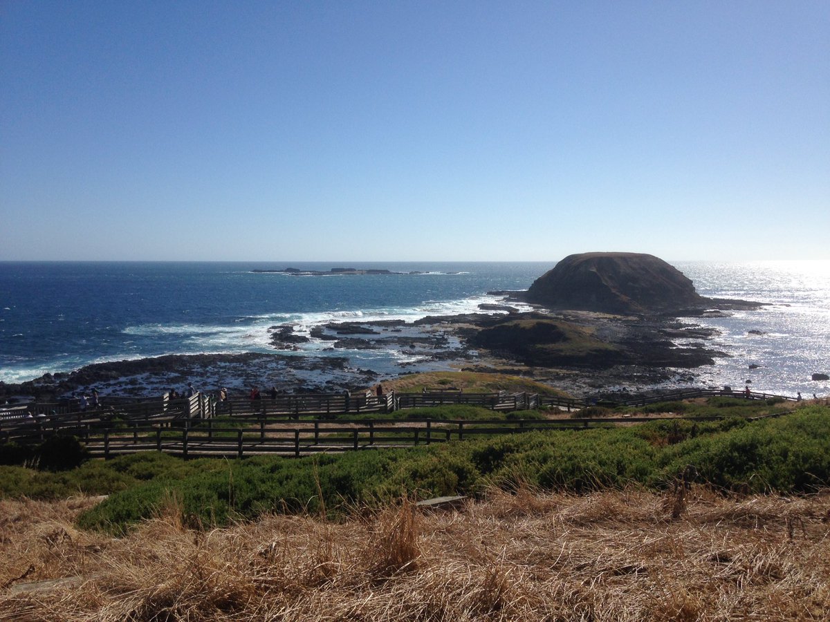 PIWalkabout's tweet image. Walking around the Nobbies