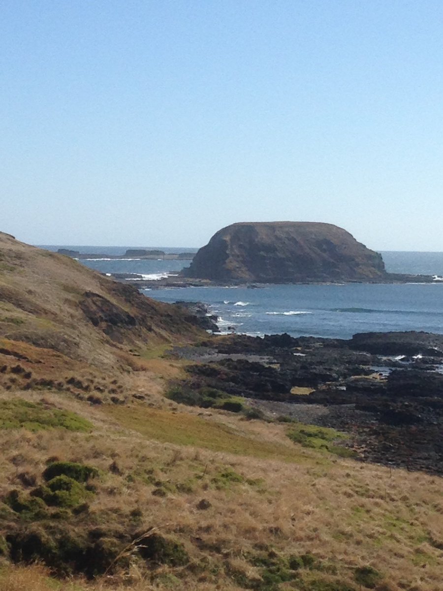 PIWalkabout's tweet image. Walking around the Nobbies