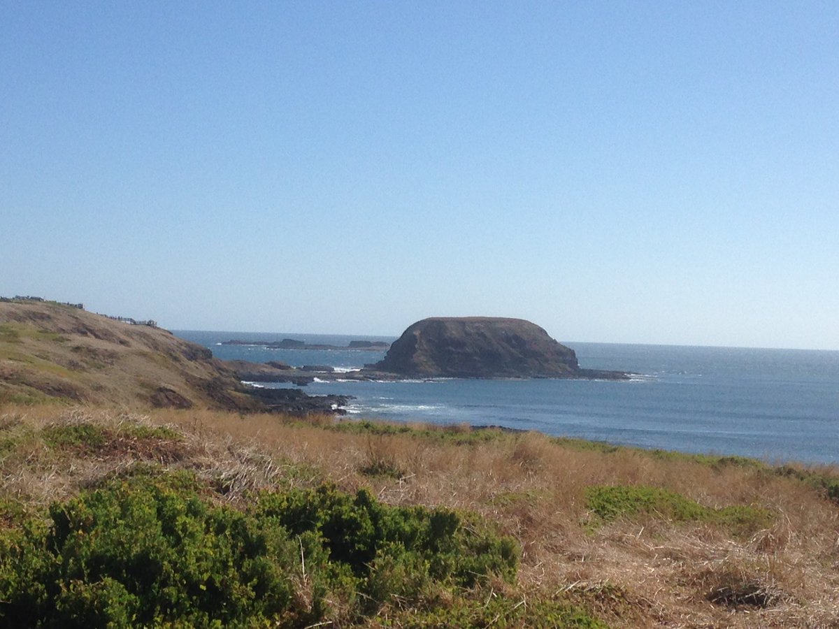 PIWalkabout's tweet image. Walking around the Nobbies