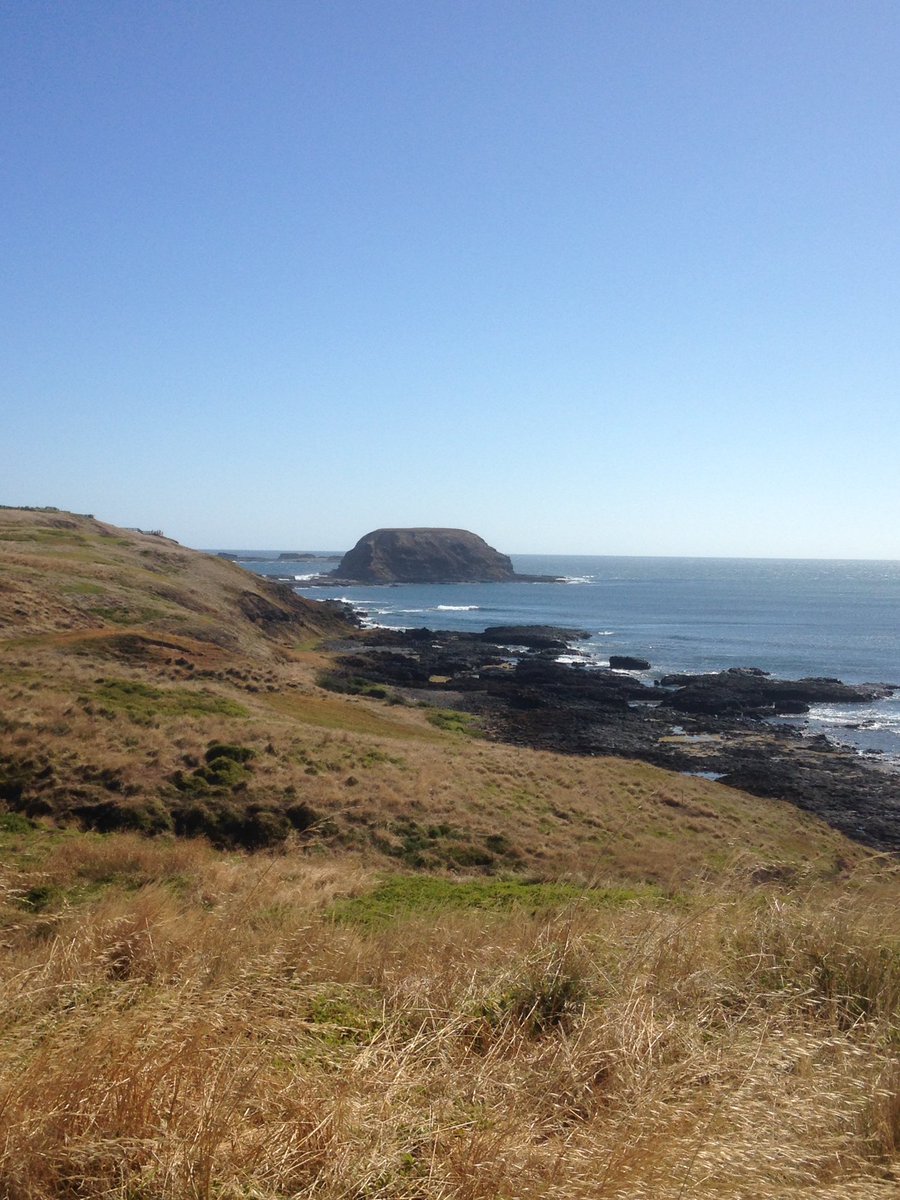 PIWalkabout's tweet image. Walking around the Nobbies