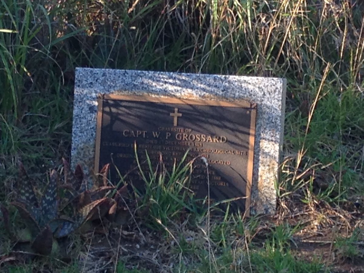 PIWalkabout's tweet image. Cptn Grossard's dying wish was to be buried under this tree overlooking McHaffie Teef