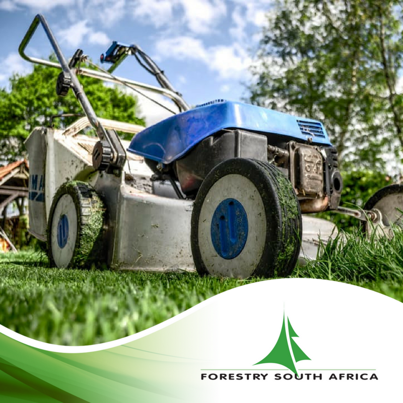 Forestry SA tweet media