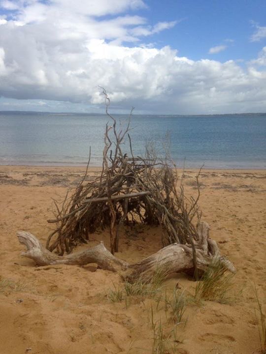 PIWalkabout's tweet image. Highlights