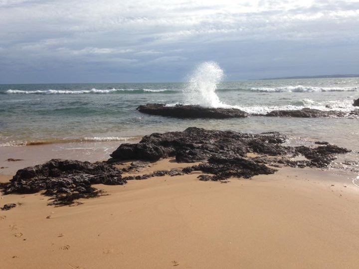 PIWalkabout's tweet image. Highlights