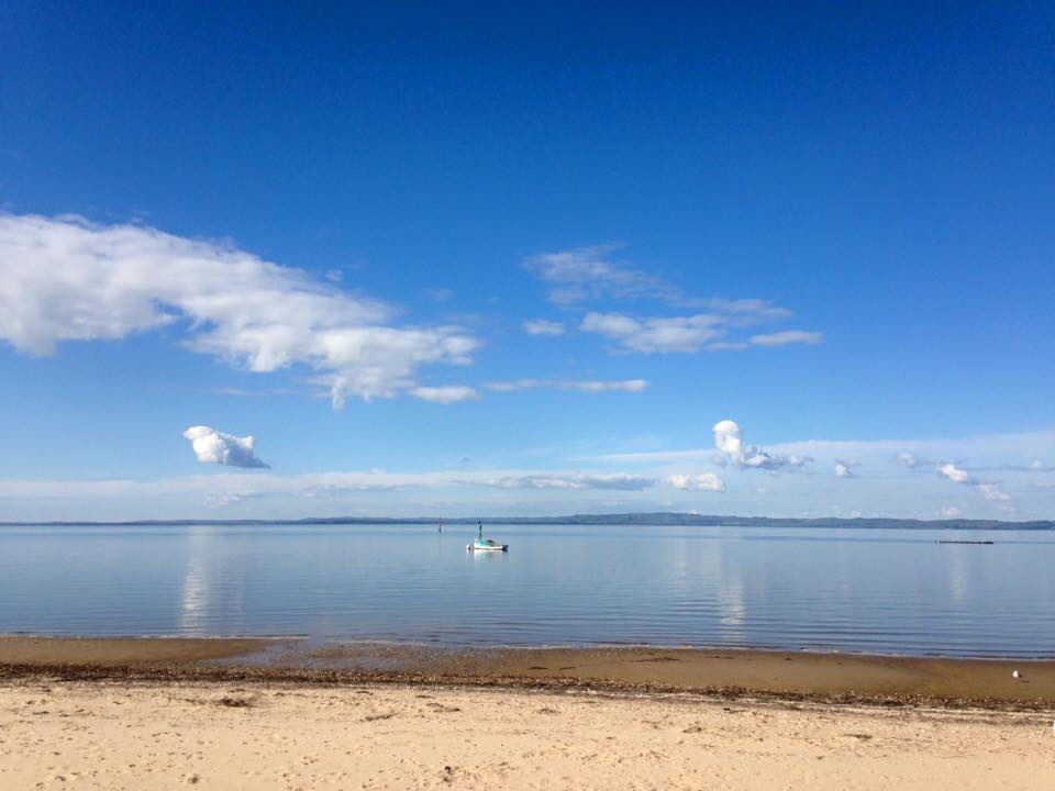 PIWalkabout's tweet image. Highlights